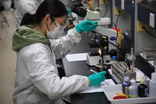 第九屆達(dá)承杯醫(yī)學(xué)檢驗(yàn)技術(shù)專業(yè)本科生技能大賽圓滿落幕，技術(shù)研發(fā)成果顯著